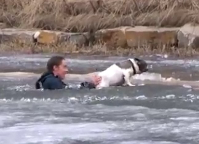 В Канаде парень бросился в ледяную воду чтобы спасти свою собаку