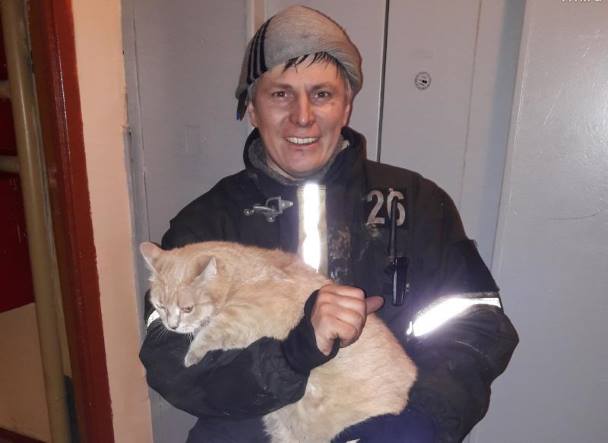 Московские пожарные рассказали о трогательных случаях спасения животных