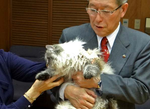 Японский губернатор рассказал о коте, которого ему подарил Путин