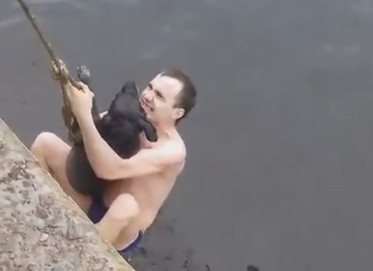 В Воронеже для спасения бездомной собаки парень прыгнул в водохранилище