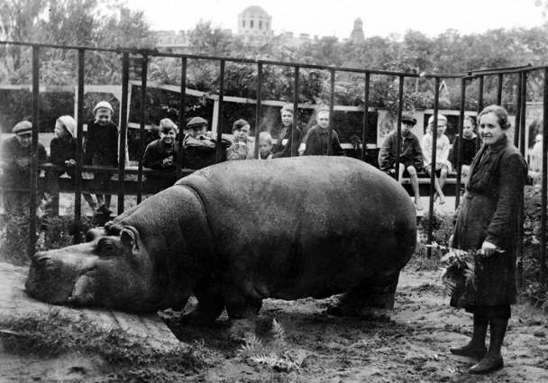 Как переживали блокаду звери Ленинградского зоопарка