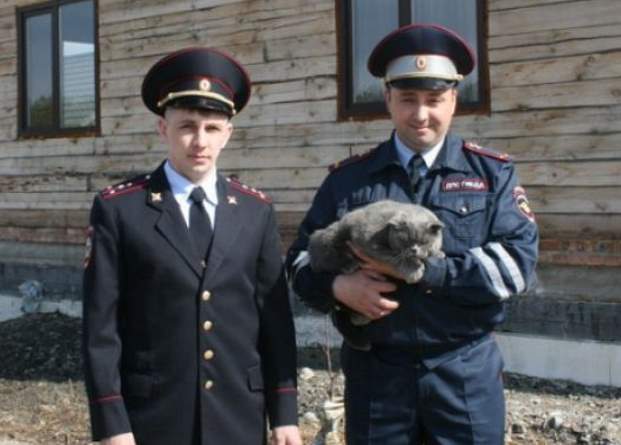 В Минусинске полицейские спасли кота из горевшего дома