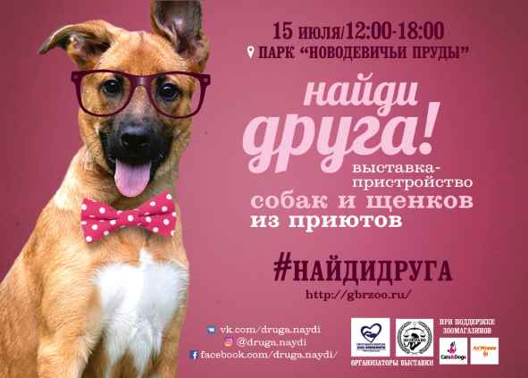 15 июля в парке «Новодевичьи пруды» пройдет семейный фестиваль с животными из приютов