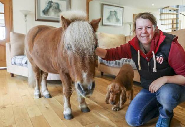 Шетландский пони считает себя собакой и умеет открывать шкафы и двери