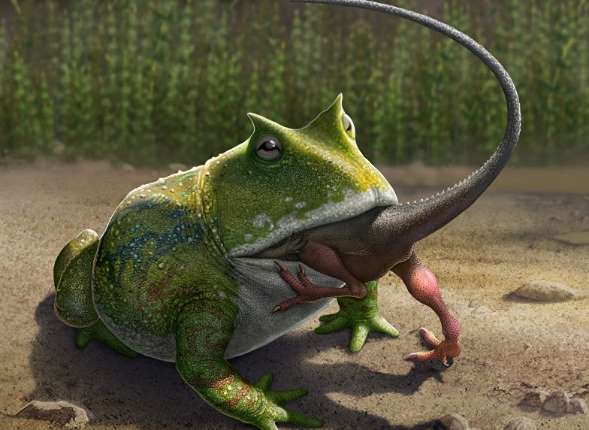 Древняя гигантская «дьявольская» лягушка могла охотиться за мелкими динозаврами