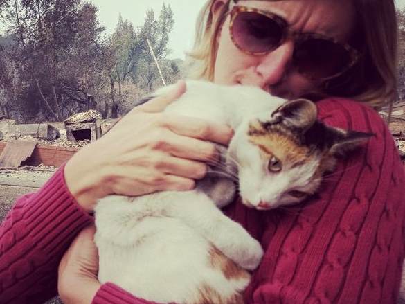 В Калифорнии владелица сгоревшего в пожаре дома нашла свою чудом спасшуюся кошку
