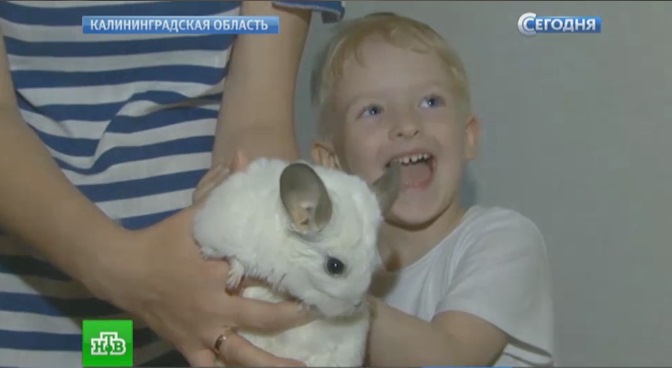 В Калининграде кролики и поросята помогают больным детям