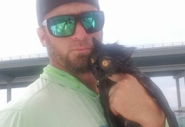 Житель Флориды спас кота, которого сбросили с моста