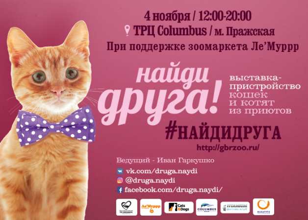 4 и 11 ноября в Москве объединение волонтеров проведет семейный праздник «Найди друга»