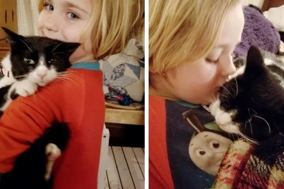 Спасенный кот был сильно напуган, пока не подружился с этой маленькой девочкой