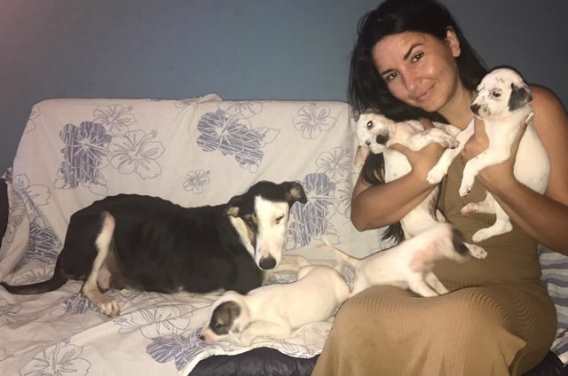 В Бразилии спасли собаку и ее щенков, брошенных в мешке на дороге