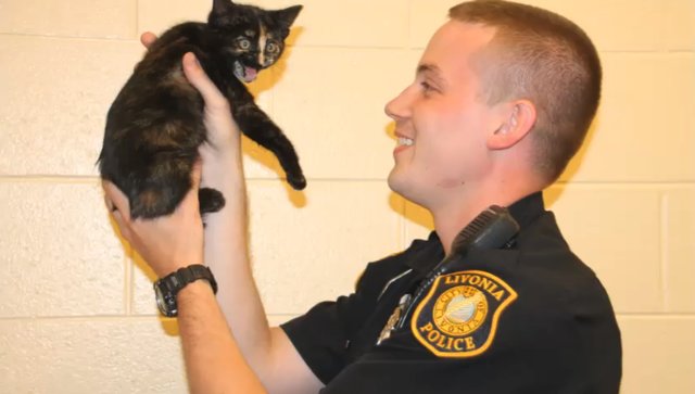 Полицейский спас котенка на дороге в Мичигане