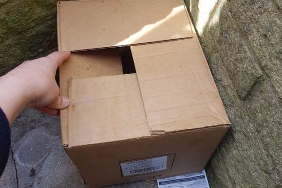 Британка нашла возле своего дома брошенную коробку с двумя живыми сюрпризами