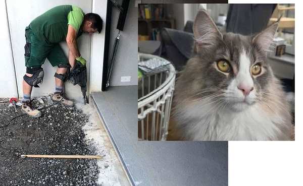 Кот на 2 недели пропал из дома, а потом под бетонным полом соседского гаража услышали мяуканье...