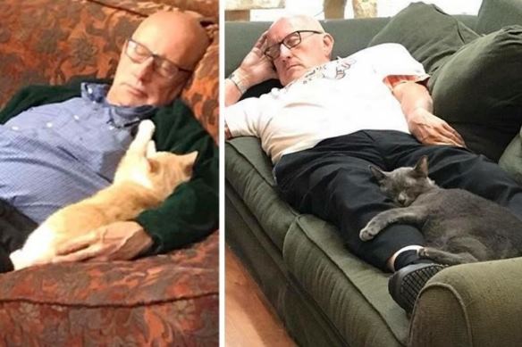 Вот уже полгода этот пожилой мужчина приходит в приют, чтобы поспать в обнимку с котами