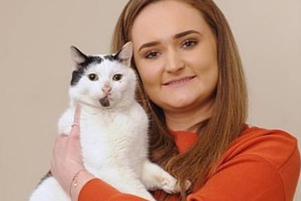 Хозяйка думала, что ее кот умер, но через три года он вернулся живым