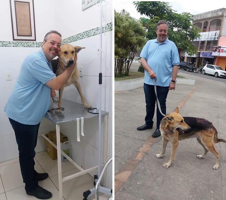 Бразильский священник впускает в церковь уличных собак, чтобы найти им новые семьи