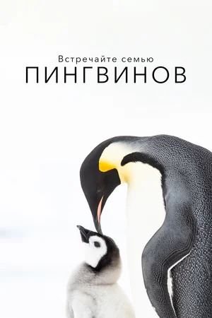 BBC. Встречайте семью пингвинов / Penguins: Meet the Family (2020)