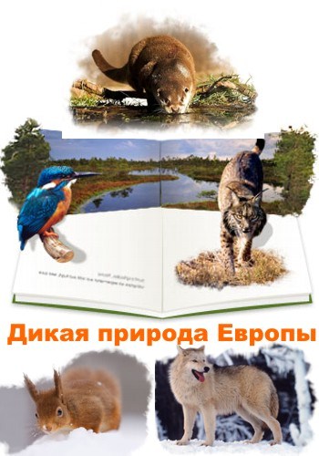 Дикая природа Европы (серии 1-13) (2013)