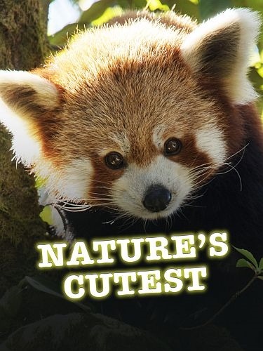 Самые милые существа / Nature's Cutest (2021)
