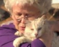 Кошка, пропавшая после урагана в Алабаме, вернулась домой (+видео)