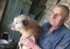 Пенсионер сделал из своего частного дома приют для 43 собак