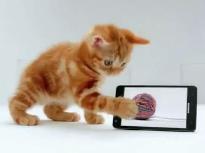Смартфон Samsung Infuse 4G с котенком, рыбкой и лягушкой