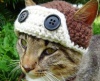 Милые шапочки для любимого кота
