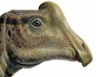 Студент -палеонтолог нашел детеныша динозавра
