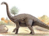 Найдены останки самого крупного динозавра в истории