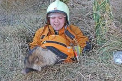 Сотрудники белорусского МЧС спасли енотовидную собаку
