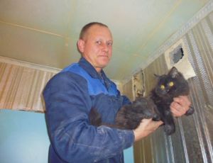 В Краснотурьинске спасли кота, пять дней просидевшего в вентиляционной шахте