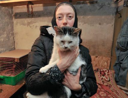 В Задонске монахиня открыла приют для бездомных кошек