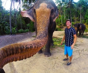 В Таиланде слон сделал селфи с помощью камеры GoPro