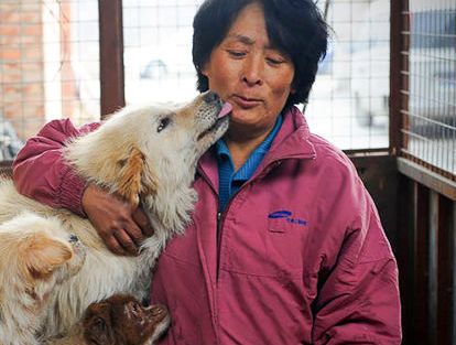 Жительница Китая спасла 100 собак от участи стать блюдом в ресторане