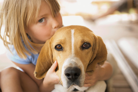 Домашние собаки уберегают детей от астмы