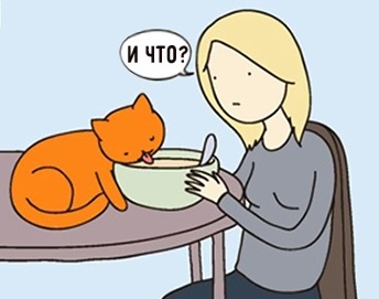 15 комиксов, которые поймут все владельцы кошек