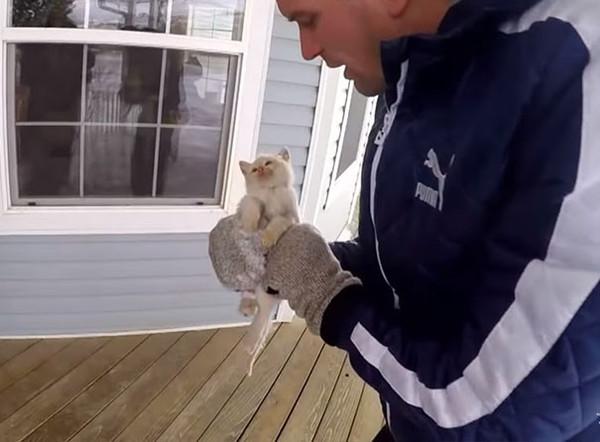В США семья нашла замерзшего котенка и реанимировала его