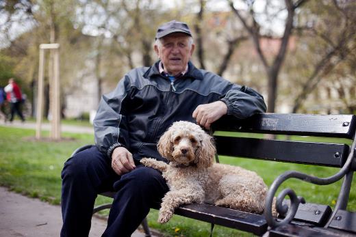 Пенсионеры, у которых есть собака, имеют лучшее здоровье и дольше живут