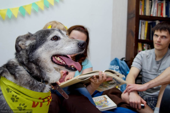 Дети читают собаке. Собака в библиотеке. Щенята в библиотеке. Собачья библиотека. Читальная собака.