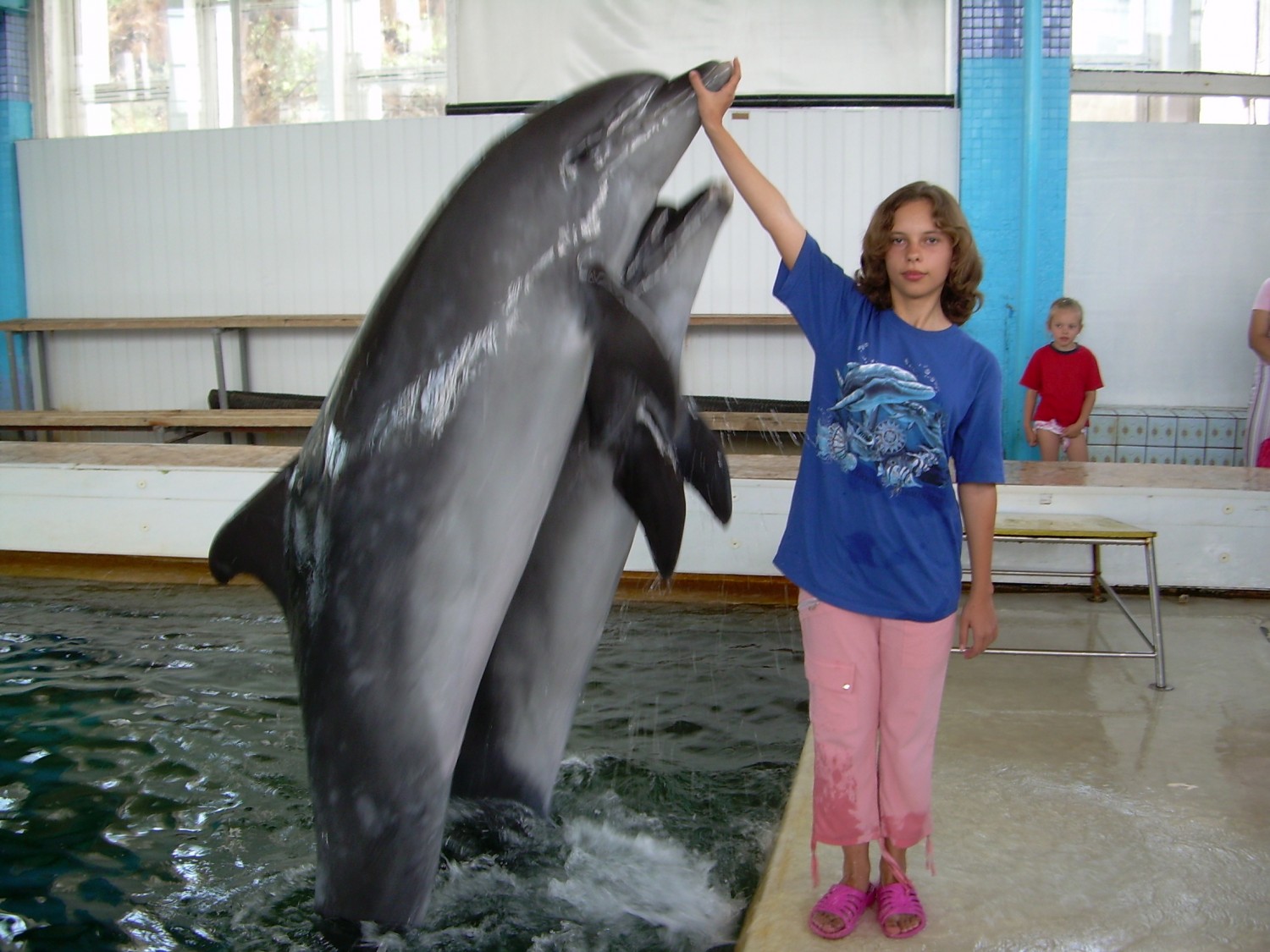Общение дельфинов между собой. Огромный Дельфин. Карадагский дельфинарий 2013 тренеры. Дельфин по сравнению с человеком.