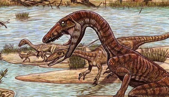 В Бразилии нашли останки двух новых видов динозавров