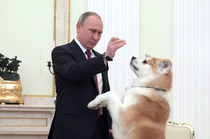 Путин показал подаренную ему в 2012 году собаку породы акита-ину