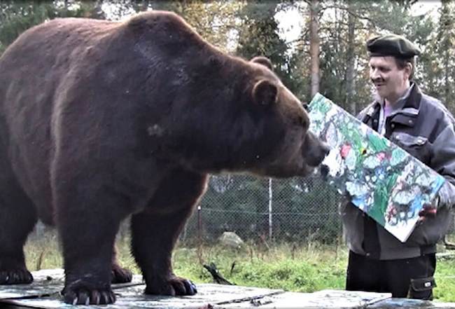 В Финляндии открылась выставка картин медведя-художника