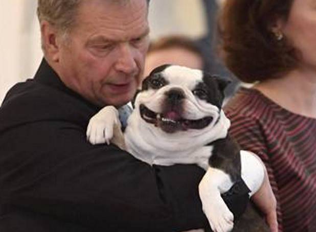 Улыбающаяся собака президента Финляндии стала популярной в интернете