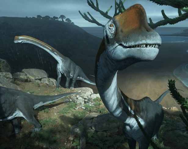 В музее Франции случайно нашли останки крупнейшего динозавра Европы