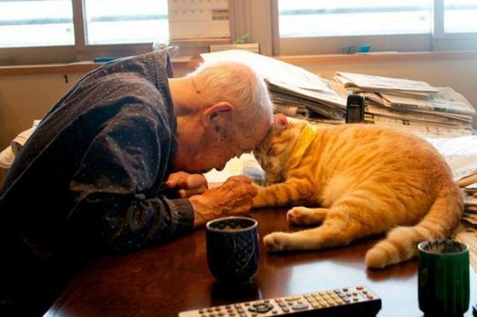 Внучка подарила своему дедушке котенка и это вернуло ему радость жизни