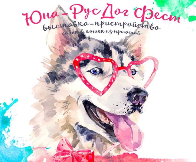 4 июня в Москве состоится Юна РусДог Фест — выставка-пристройство собак и кошек из приютов