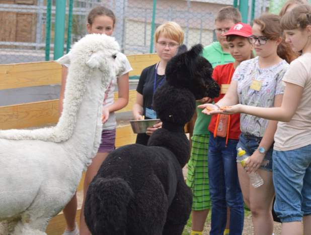 Составлен рейтинг лучших зоопарков России