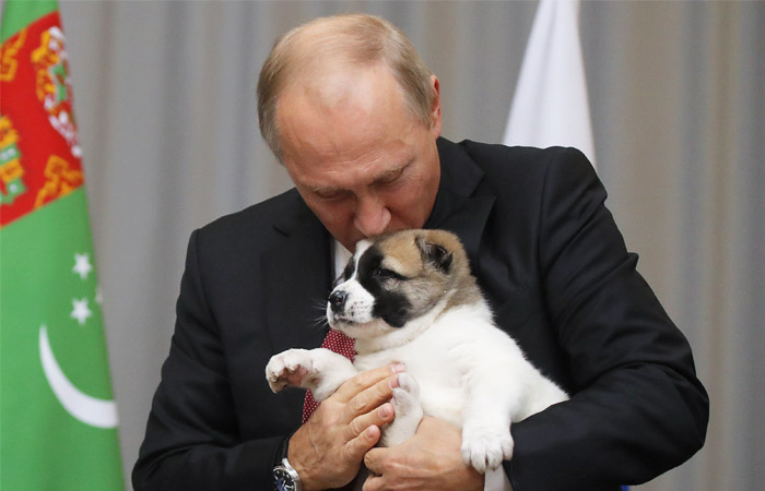 Президент Туркмении подарил Путину щенка алабая по кличке Верный